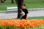 vahid sohrabi0018.jpg
